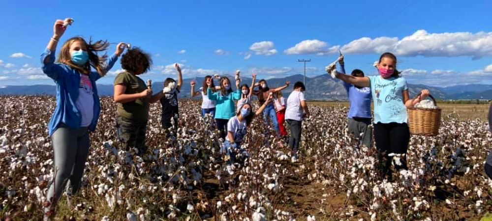 Μαθαίνοντας για το βαμβάκι