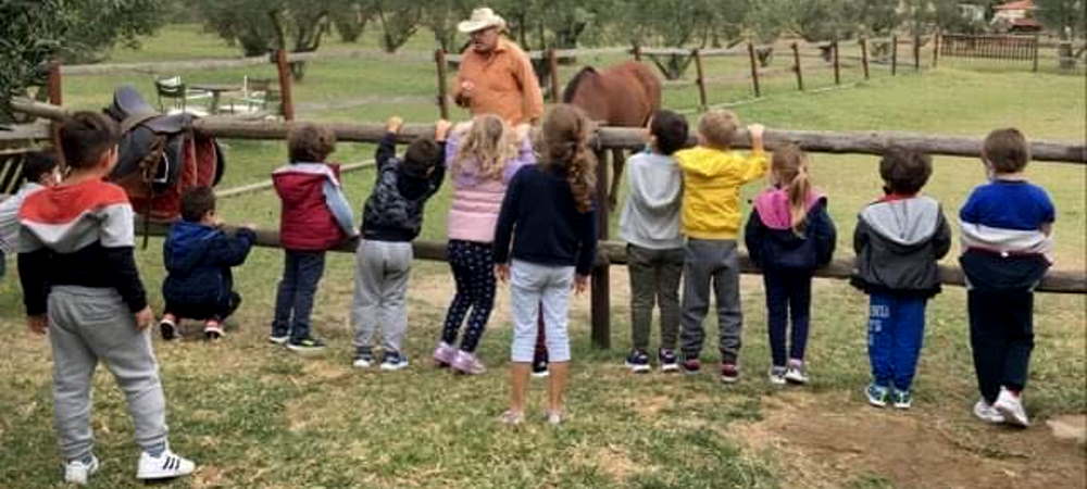 Γνωρίζοντας το άθλημα της ιππασίας