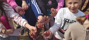Από την τάξη στον Αμπελώνα