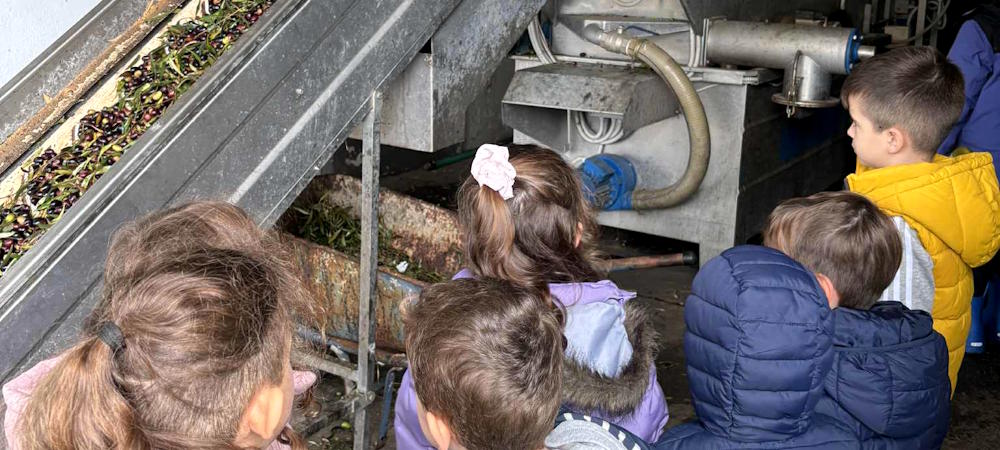 Από το Δέντρο στο Λάδι